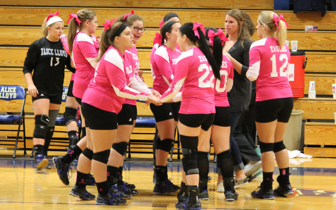 Volleyball Earns Victory on Senior Day