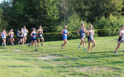 Alice Lloyd Lady Eagles and Eagles Cross Country Finish Second at NCCAA DII Nationals